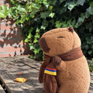 Capito de capibara